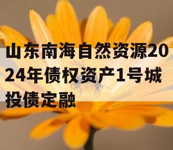 山东南海自然资源2024年债权资产1号城投债定融