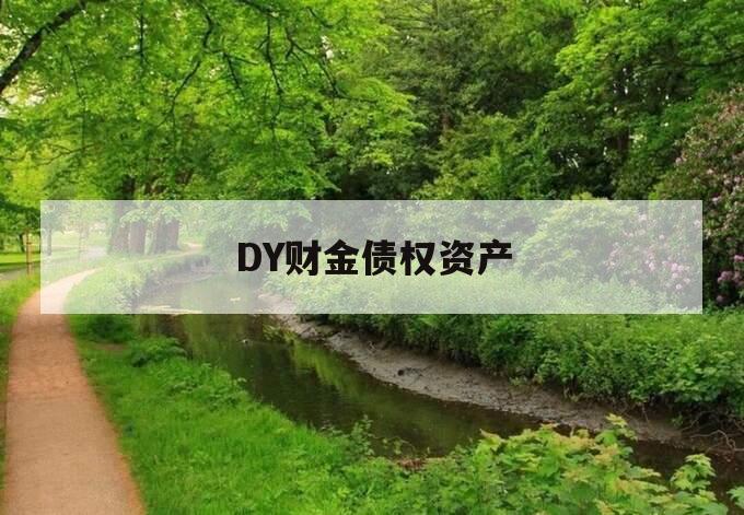 DY财金债权资产