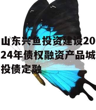 山东兴鱼投资建设2024年债权融资产品城投债定融