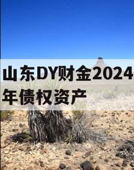 山东DY财金2024年债权资产