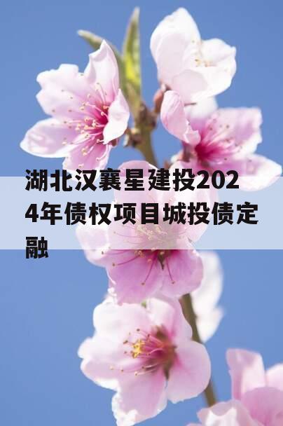 湖北汉襄星建投2024年债权项目城投债定融