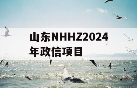 山东NHHZ2024年政信项目