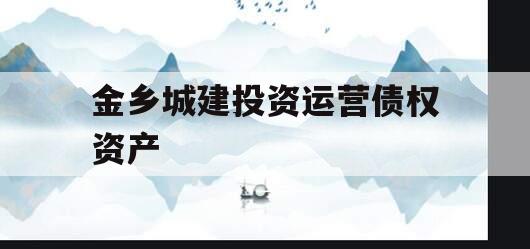 金乡城建投资运营债权资产