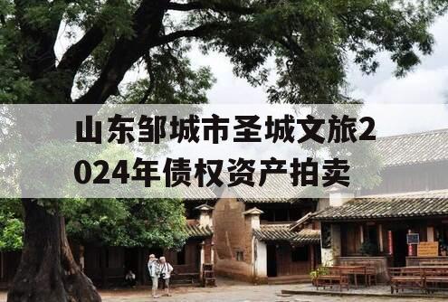 山东邹城市圣城文旅2024年债权资产拍卖