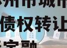 河南林州市城市投资2024年债权转让项目城投债定融