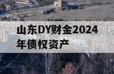 山东DY财金2024年债权资产