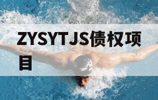 ZYSYTJS债权项目