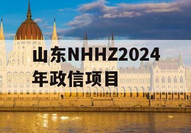 山东NHHZ2024年政信项目