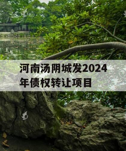 河南汤阴城发2024年债权转让项目