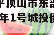 河南平顶山市东部城建2024年1号城投债定融