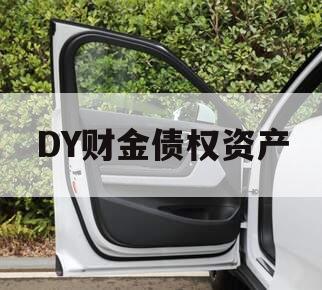 DY财金债权资产