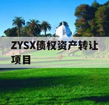 ZYSX债权资产转让项目