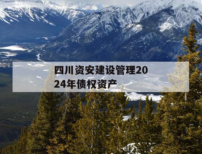 四川资安建设管理2024年债权资产