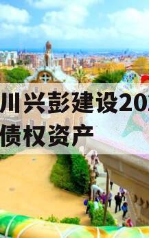 四川兴彭建设2024年债权资产