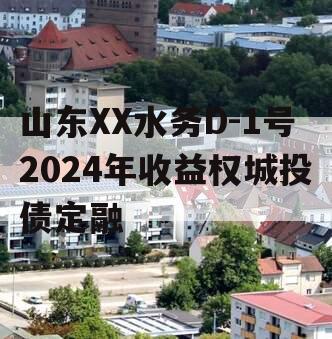 山东XX水务D-1号2024年收益权城投债定融