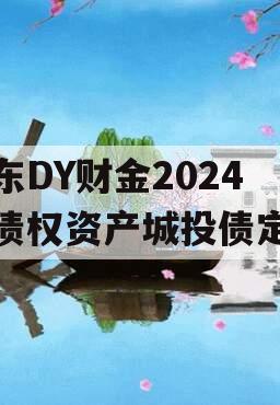 山东DY财金2024年债权资产城投债定融