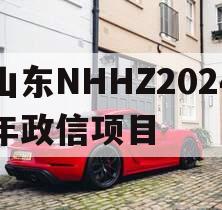 山东NHHZ2024年政信项目