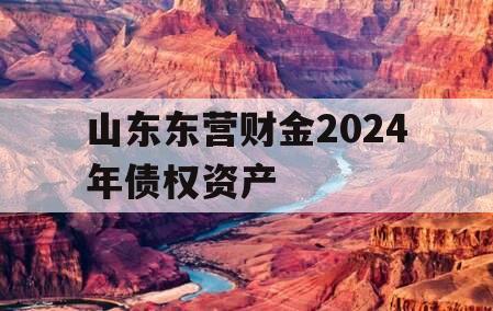 山东东营财金2024年债权资产