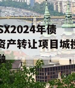 ZYSX2024年债权资产转让项目城投债定融