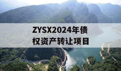 ZYSX2024年债权资产转让项目