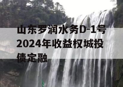 山东罗润水务D-1号2024年收益权城投债定融