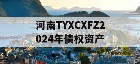 河南TYXCXFZ2024年债权资产