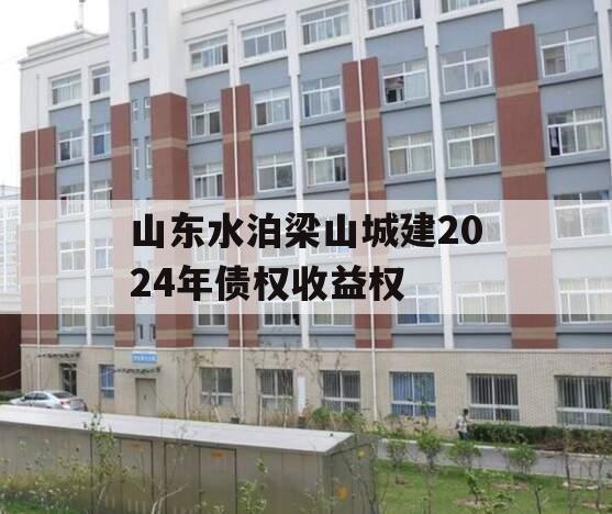 山东水泊梁山城建2024年债权收益权