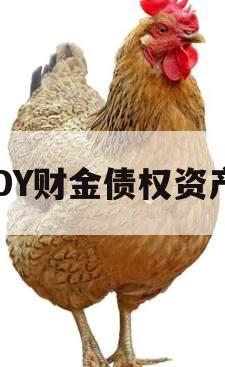 DY财金债权资产