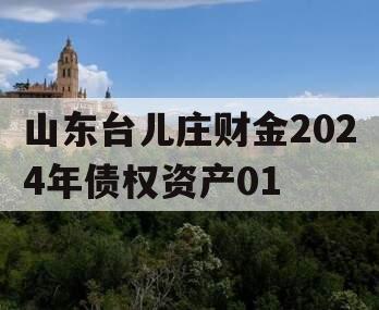 山东台儿庄财金2024年债权资产01