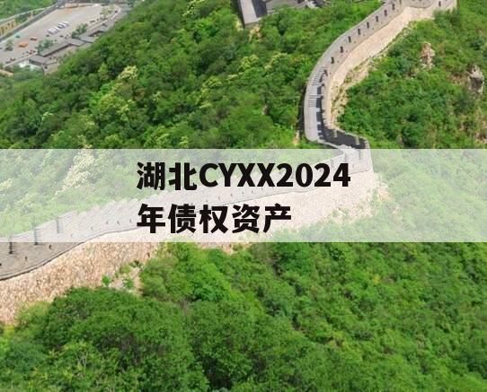 湖北CYXX2024年债权资产