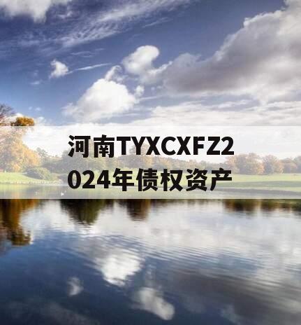 河南TYXCXFZ2024年债权资产