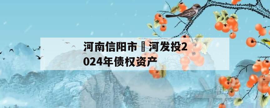 河南信阳市浉河发投2024年债权资产