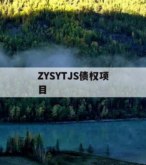 ZYSYTJS债权项目