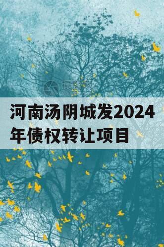 河南汤阴城发2024年债权转让项目