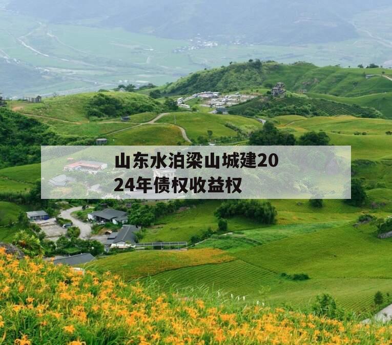 山东水泊梁山城建2024年债权收益权