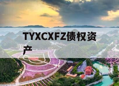 TYXCXFZ债权资产