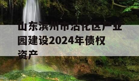 山东滨州市沾化区产业园建设2024年债权资产