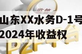 山东XX水务D-1号2024年收益权