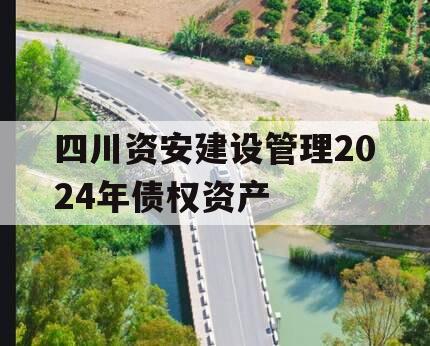 四川资安建设管理2024年债权资产