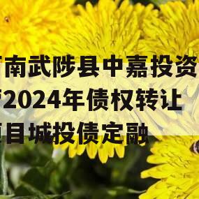 河南武陟县中嘉投资运营2024年债权转让项目城投债定融