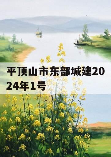 平顶山市东部城建2024年1号