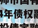 河南偃师市国有资产经营2024年债权融资计划城投债定融