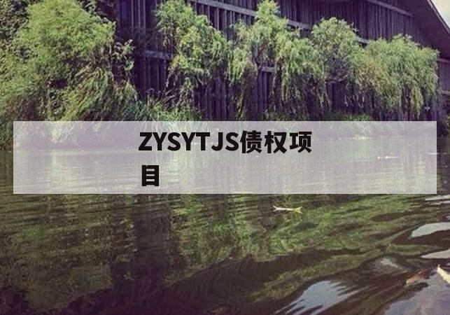 ZYSYTJS债权项目