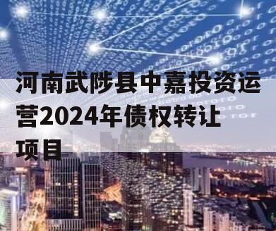 河南武陟县中嘉投资运营2024年债权转让项目