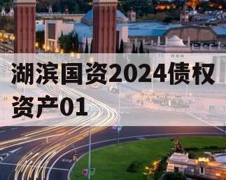 湖滨国资2024债权资产01