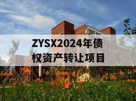 ZYSX2024年债权资产转让项目