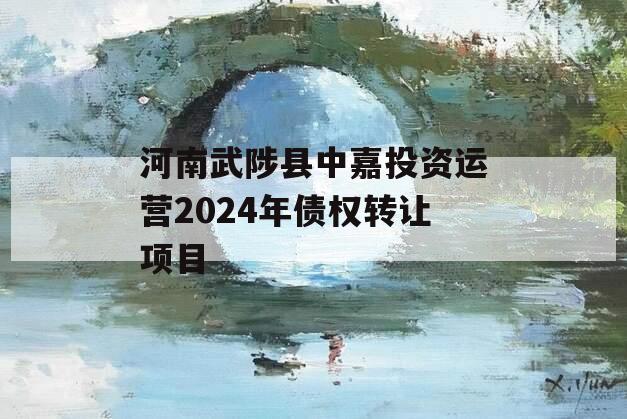 河南武陟县中嘉投资运营2024年债权转让项目