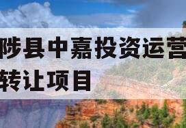 武陟县中嘉投资运营债权转让项目