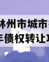 河南林州市城市投资2024年债权转让项目