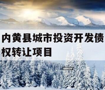 内黄县城市投资开发债权转让项目